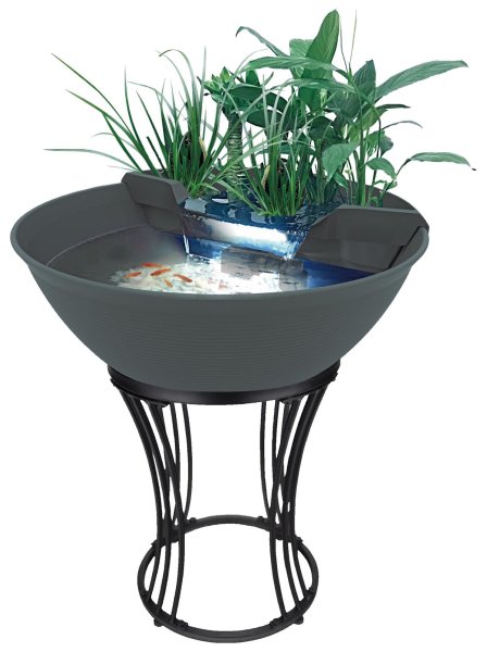 Mini Pond