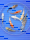 Koi - Mix 18-20cm (Yoshikigoi)