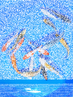Koi - Mix 12-15cm (Yoshikigoi)