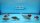 Wakin Goldfisch 12-15cm