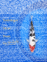 Tosai Yoshikigoi Koi #103