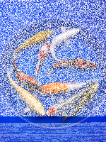 Jumbo Tosai Mix 20-25cm