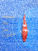 Tosai Yoshikigoi Koi #115
