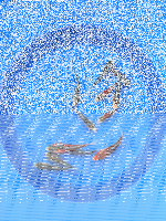 Shusui Mix 12 - 15cm