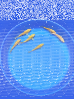 Karashi Mix 12 - 15cm