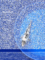 Tosai Yoshikigoi Koi #122