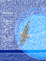 Tosai Yoshikigoi Koi #123