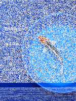 Tosai Yoshikigoi Koi #124