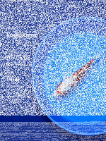 Tosai Yoshikigoi Koi #125