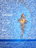 Tosai Yoshikigoi Koi #132