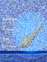 Tosai Yoshikigoi Koi #134