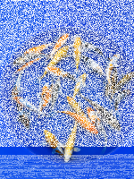 25x Tosai 12–15 cm | Versandkostenfrei
