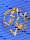 25x Tosai 12–15 cm | Versandkostenfrei