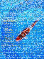 Tosai Yoshikigoi Koi #139