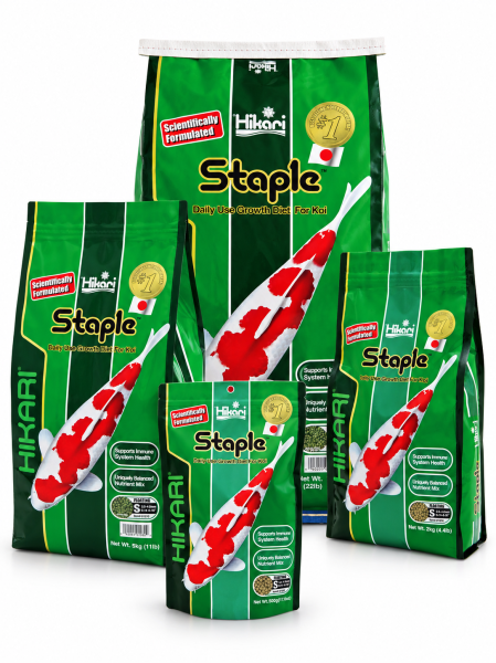 Hikari Staple  S