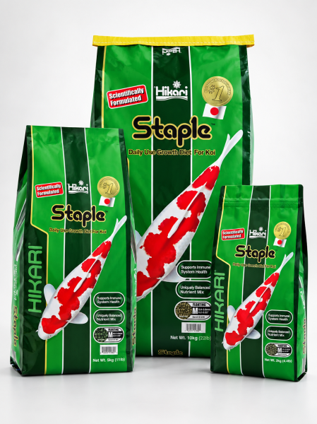 Hikari Staple  M