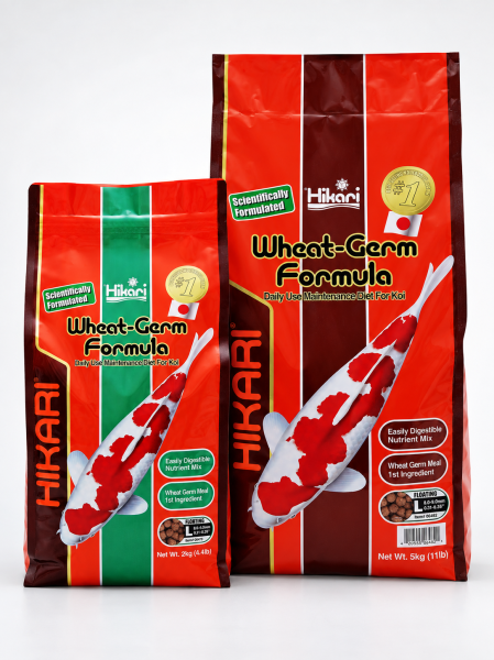 Hikari Wheat Germ  L