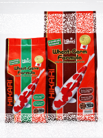 Hikari Wheat Germ  L