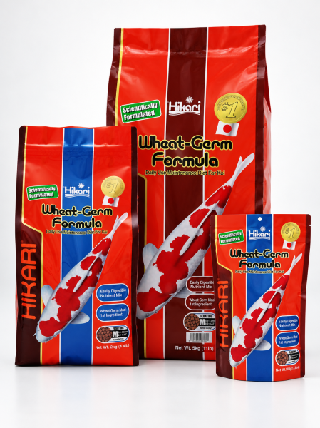 Hikari Wheat Germ  M