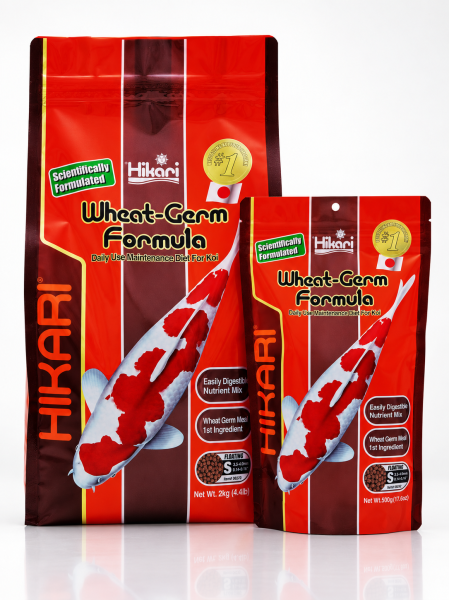 Hikari Wheat Germ  S