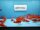 Goldfisch Comet ca. 7 - 10cm