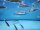 Blaue Orfe ca. 12 - 15cm
