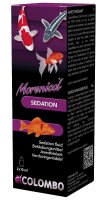 COLOMBO MORENICOL SEDATION