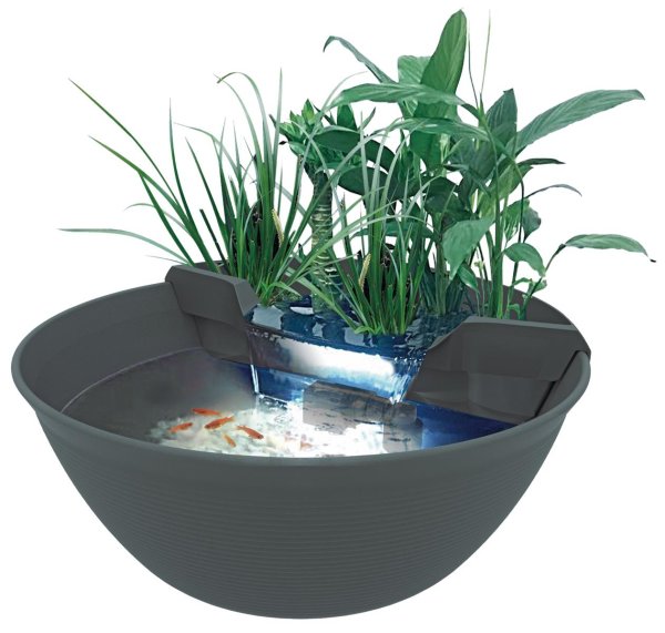 Mini Pond
